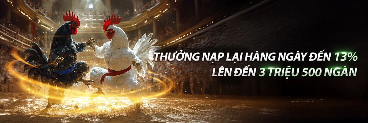 Sân đấu đá gà kịch tính tại lc79 link